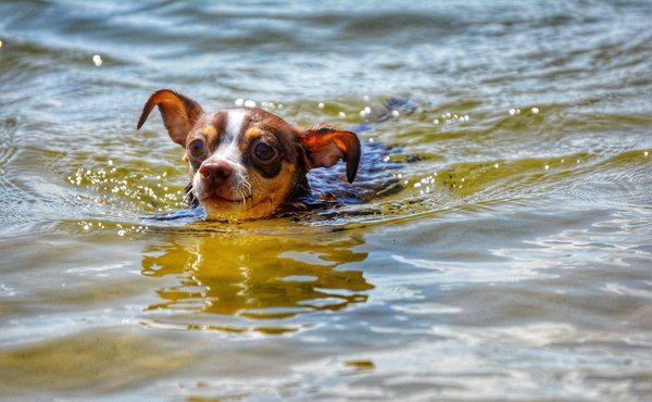 Quels sont les conseils pour débuter avec l'édition de photos numériques ?